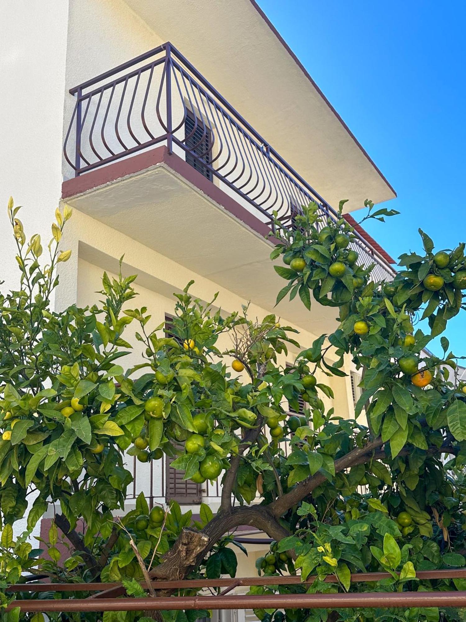 Niko Apartments Drvenik  Ngoại thất bức ảnh